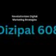 Dizipal 608