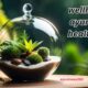 wellhealth ayurvedic health tips